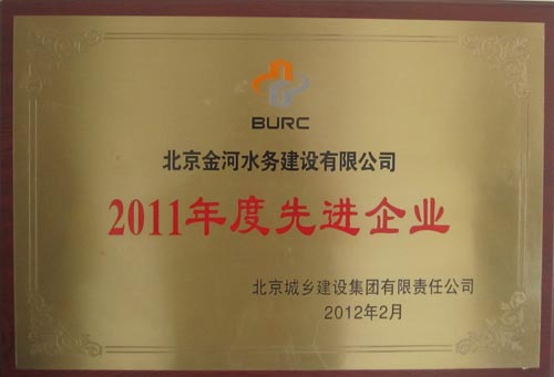2011年度先进企业.jpg